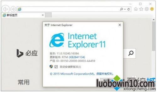 IE浏览器 IE浏览器